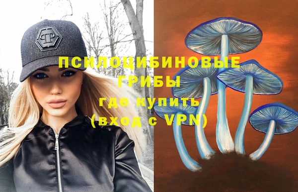 гидра Волосово
