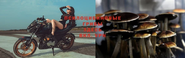 кокс Волоколамск