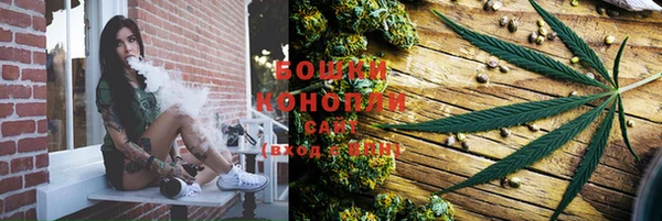 трава Верея