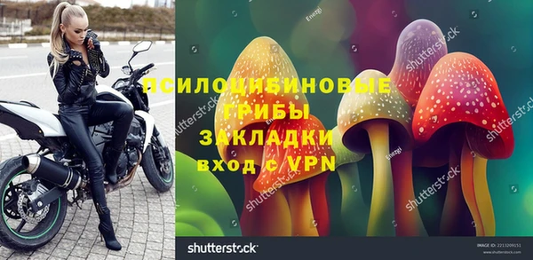 spice Верхний Тагил