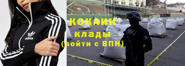 трава Верея