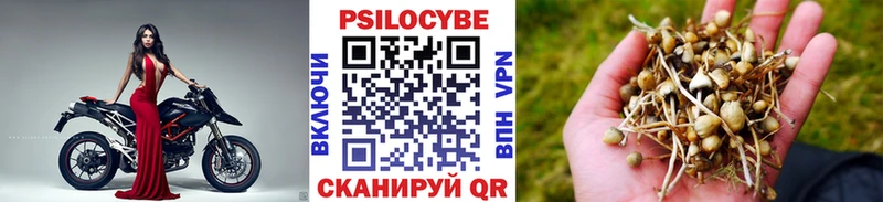 Галлюциногенные грибы прущие грибы Мещовск